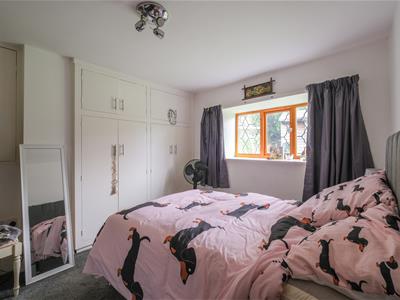 Picture 23